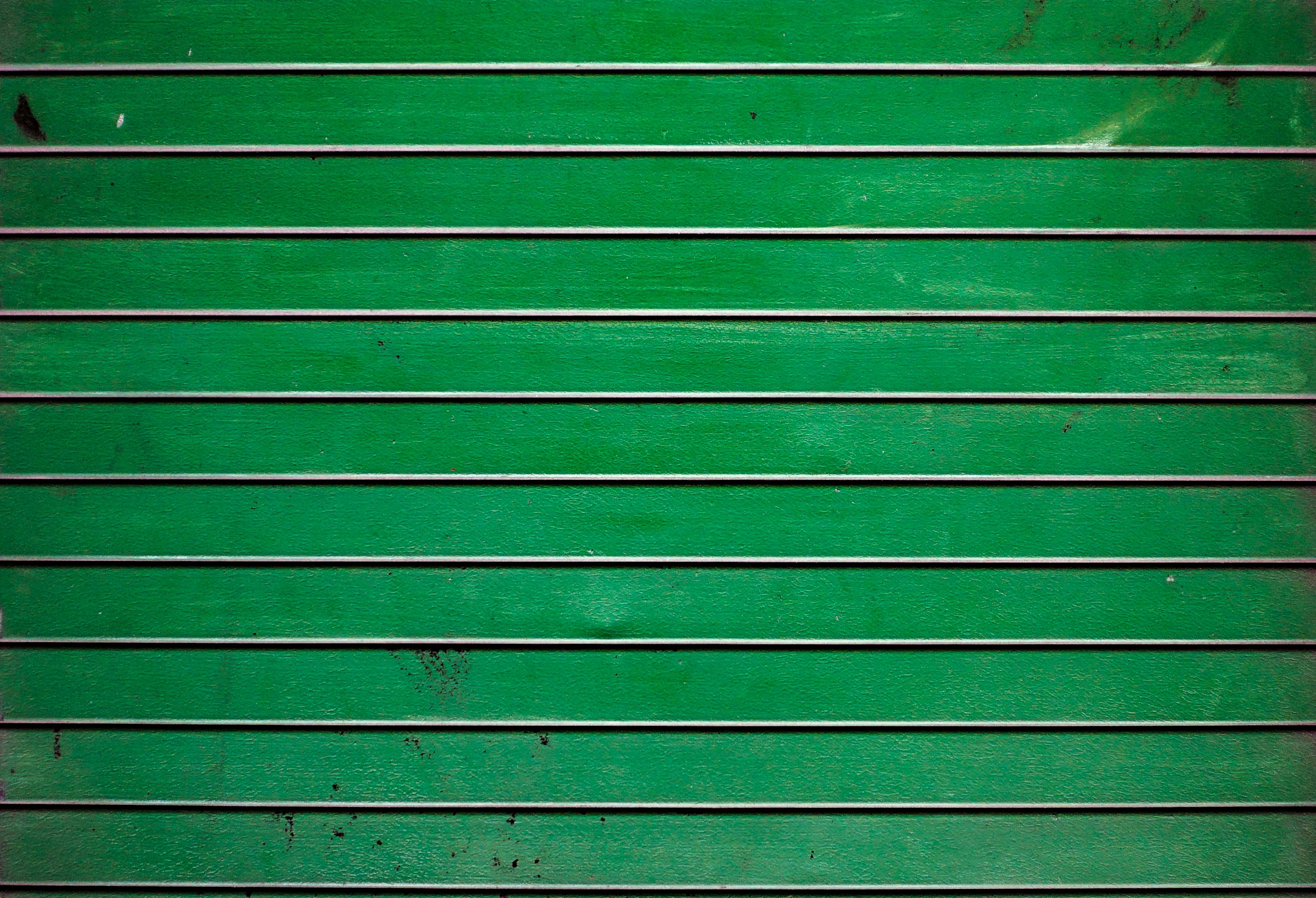 green wooden wall during daytime